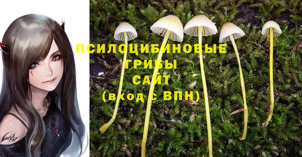 бошки Абаза
