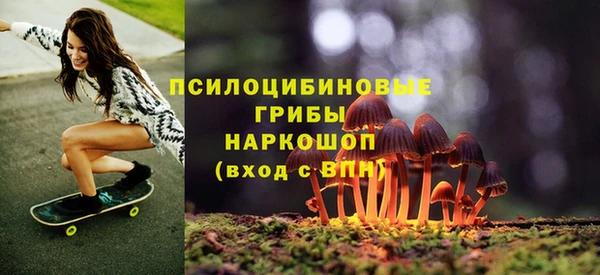 бошки Абаза